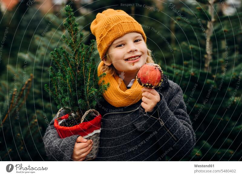 Happy boy preparing for Christmas , holding potted tree, eating chocolate dipped apple Christmas tree Christmas trees chocolate dipped apples happiness happy