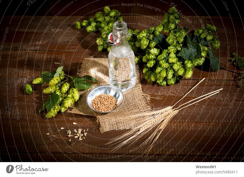 Ingedients for beer brewing, water, barley, hops and malt Humulus lupulus elevated view High Angle View High Angle Shot hop cones autumn fall still life