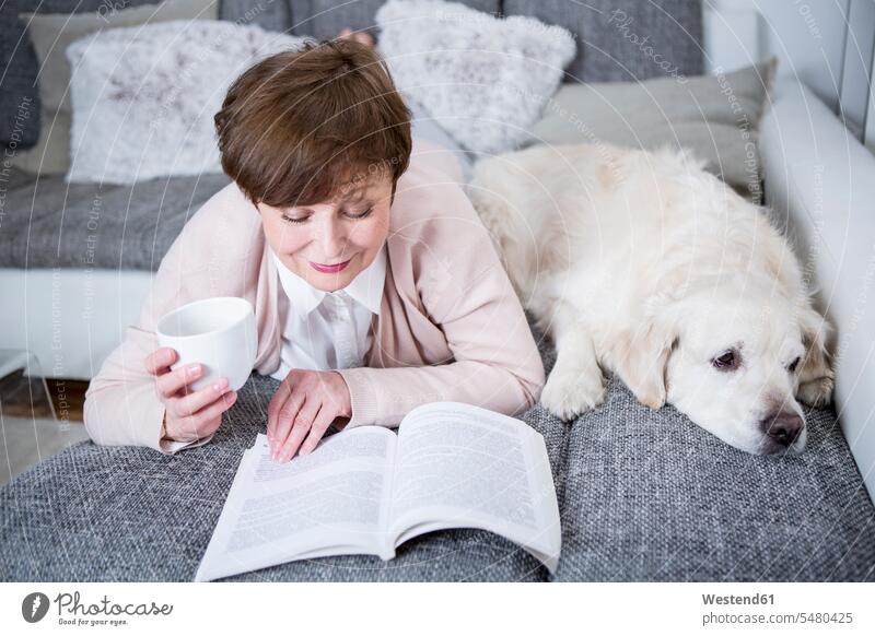Senior woman lying on couch, reading book with dog by her side senior women elder women elder woman old senior woman cozy sociable comfortable cosy females