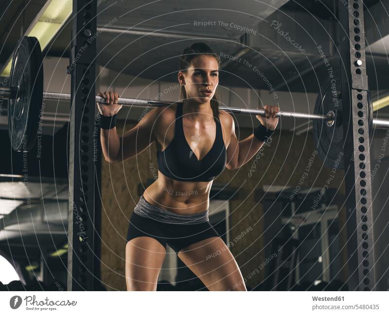 Female athlete training with barbell fitness sportswoman athletes female athlete sportswomen female athletes Power Rack Sportspeople Sportsman Sportsperson