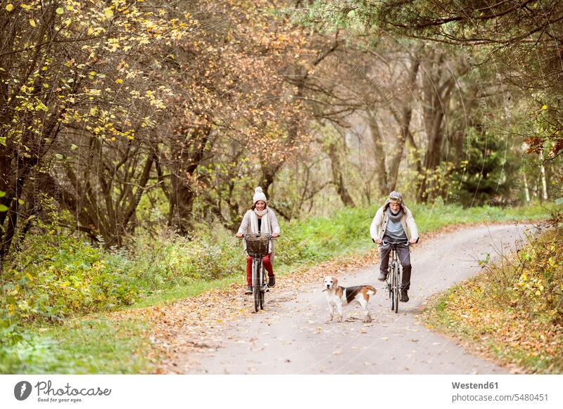 Senior couple doing a bicycle trip with dog riding bicycle riding bike bike riding cycling bicycling pedaling senior couple elder couples senior couples