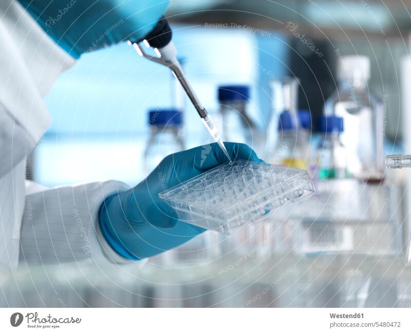 Scientist pipetting a DNA sample into a multi well plate ready for genetic testing in a laboratory pipette scientist science sciences scientific workplace