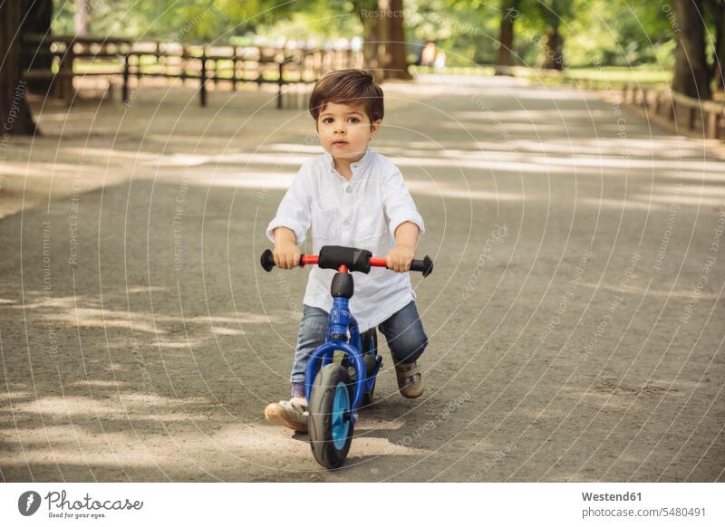 Toddler using a balance bicycle in wild park balance bicycles boy boys males portrait portraits child children kid kids people persons human being humans
