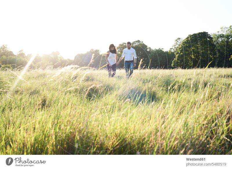 Couple in love walking hand in hand on a meadow at sunset couple twosomes partnership couples nature natural world people persons human being humans