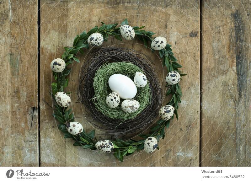 Wreath with quail eggs and goose egg and quail egg in an Easter nest wooden wreath wreaths Creativity creative DIY do-it-yourself still life still-lifes