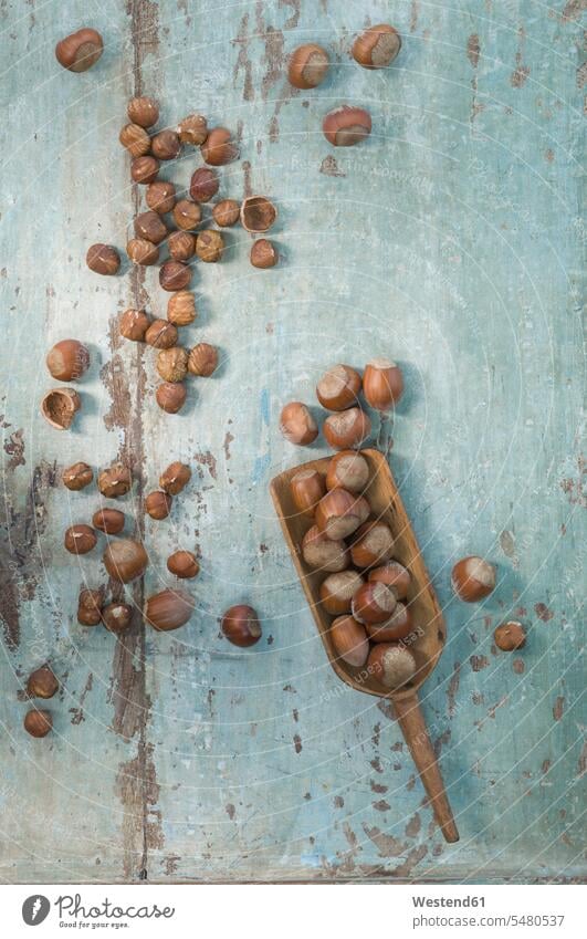 Wooden shovel and hazelnuts on wood nobody Shabby chic whole scattered nutshell nutshells arrangement grouping peel peels rustic wooden healthy eating nutrition