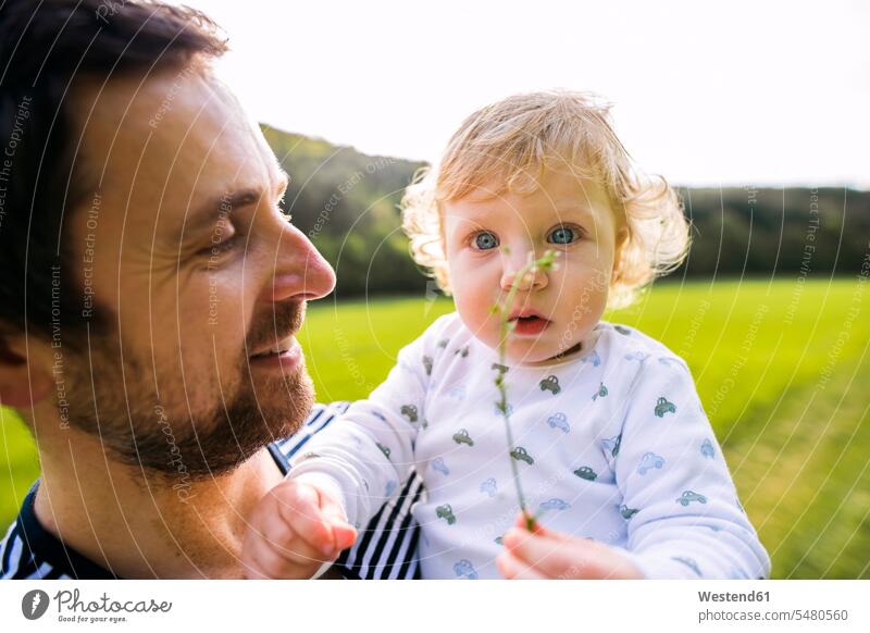 Father holding cute little boy on meadow with plant baby infants nurselings babies Fun having fun funny smiling smile people persons human being humans
