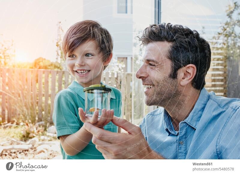 Father and son catching together a cricket Glass Glasses gryllidae crickets Joy enjoyment pleasure Pleasant delight watching observing observe father pa fathers