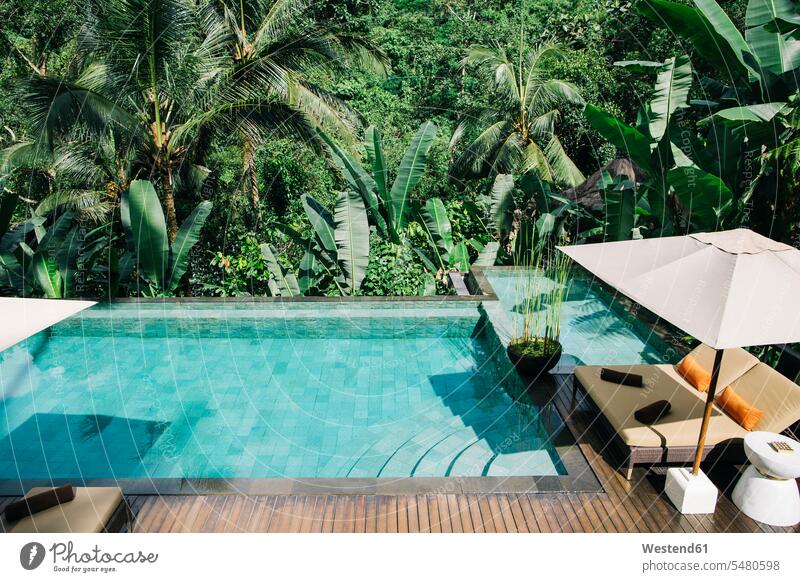 Indonesia, Bali, tropical swimming pool recreation relaxing Recreational Absence Absent Tropical Climate empty emptiness terrace terraces outdoors outdoor shots