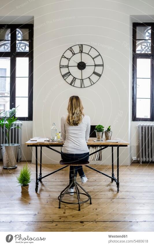 Rear view of woman sitting at desk at home under large wall clock females women desks Seated wall clocks Adults grown-ups grownups adult people persons