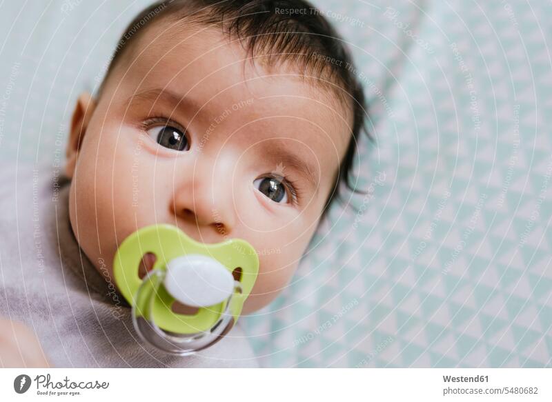 Portrait of baby girl lying on bed sucking a pacifier infants nurselings babies portrait portraits Pacifiers comforter soother people persons human being humans