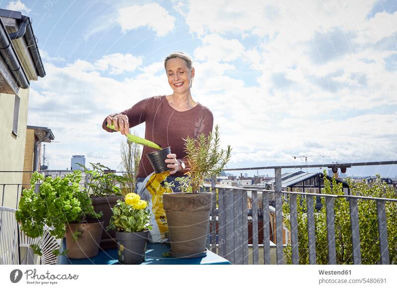 Smiling mature woman caring for plants on balcony Plant Plants smiling smile balconies females women Adults grown-ups grownups adult people persons human being