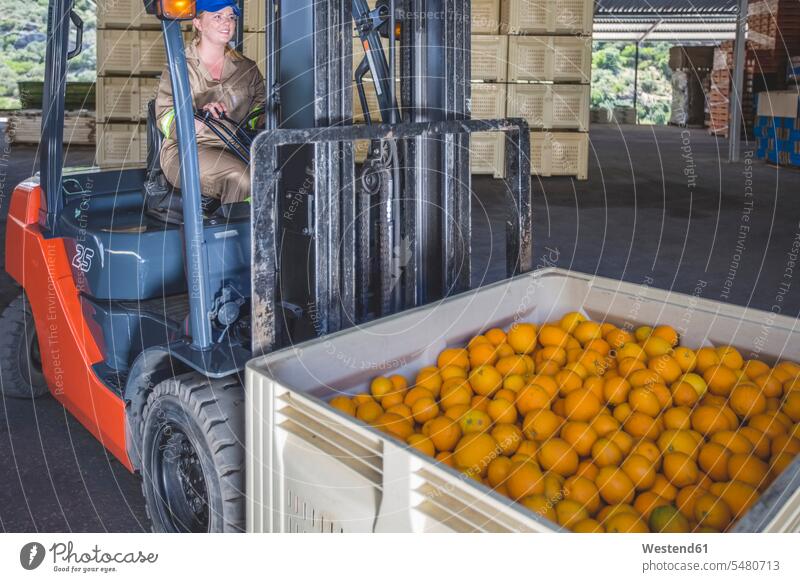 Woman moving orange bin with forklift Plantation Plantations Orange Citrus sinensis Oranges driving drive working At Work harvest harvesting harvests worker