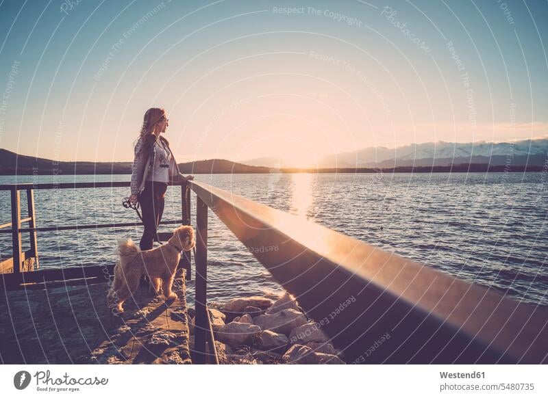 Woman at lake watching sunset with her dog dogs Canine thinking jetty jetties animal-loving fond of animals love of animals carrying holding standing poodle