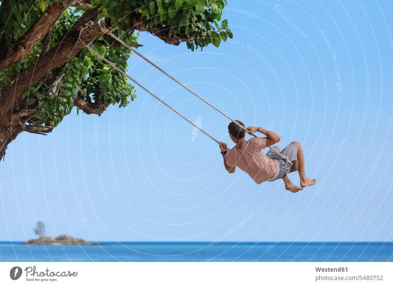 Indonesia, Lombok Island, man sitting on a swing looking at distance island islands swinging rock rocking Seated Tree Trees men males swing set playground swing