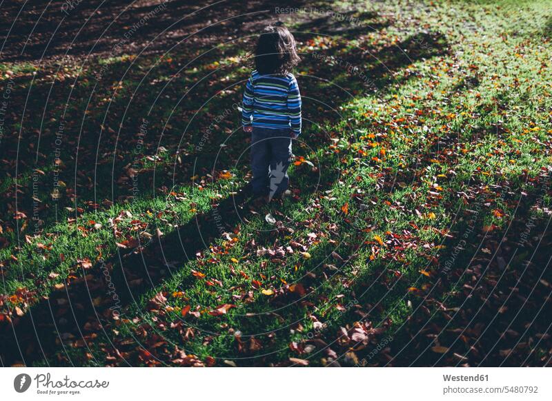 Boy standing alone on meadow with autumn leaves melancholy melancholic melancholia casual leisure wear casual clothing casual wear casual clothes Casual Attire