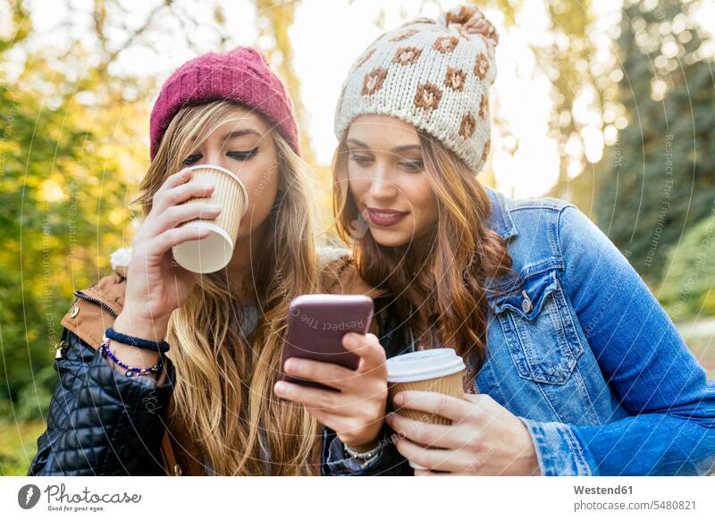 Two young women with smartphone in a park in autumn parks female friends mobile phone mobiles mobile phones Cellphone cell phone cell phones mate friendship