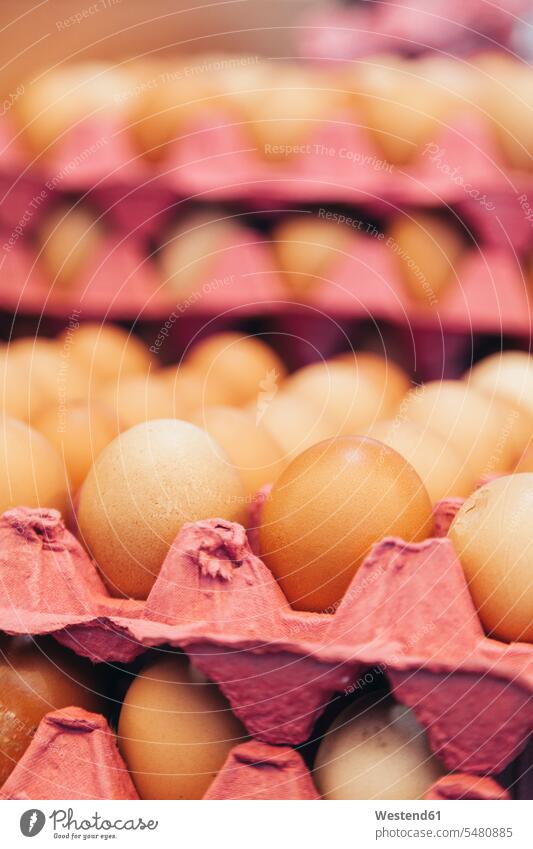 Brown organic Free-range eggs on egg carton, close-up offer offering choice Egg Eggs supply supplies stock stocks full frame large group of objects many objects