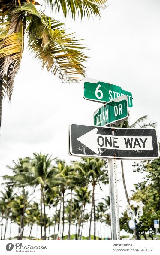 USA, Miami, road sign of Ocean Drive arrow sign arrow signs Arrow Symbols arrows street name western script journey travelling Journeys voyage one way Palm
