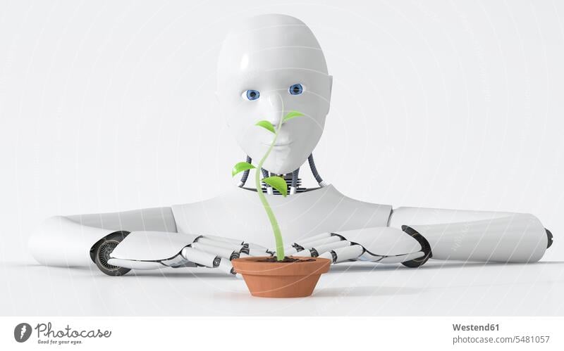 Robot watching green plant growing in plant pot Idea Ideas copy space potted plant potted plants pot  plants pot plant industrial robot Development developing