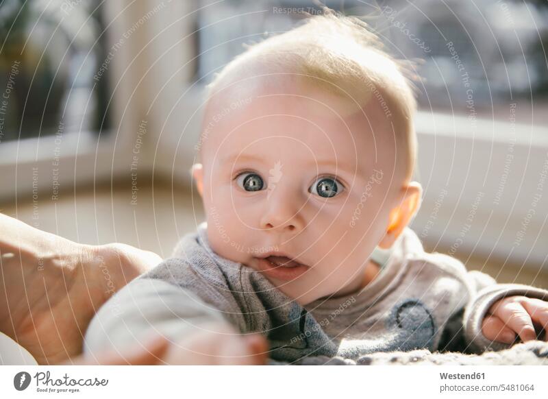 Portrait of amazed baby boy portrait portraits baby boys male babies infants people persons human being humans human beings looking looks nurselings staring