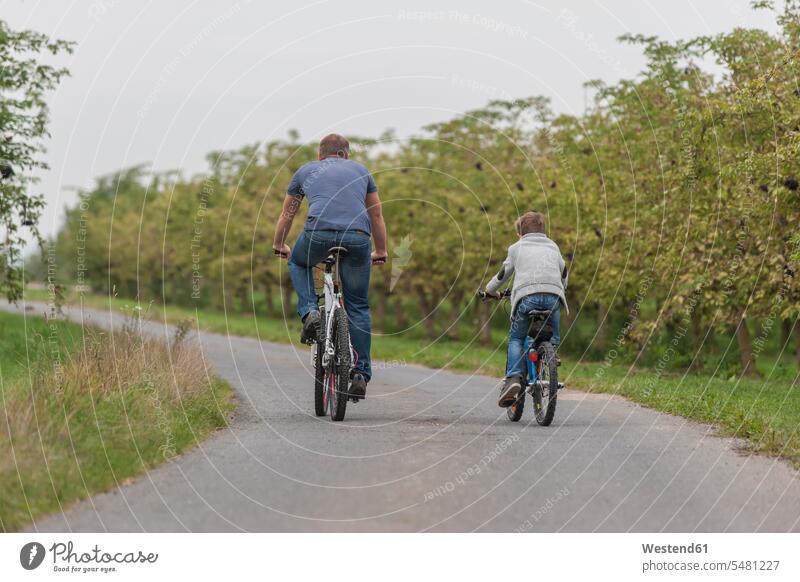 Back view of little boy and his father on bicycle tour caucasian caucasian ethnicity caucasian appearance european nature natural world outdoors outdoor shots