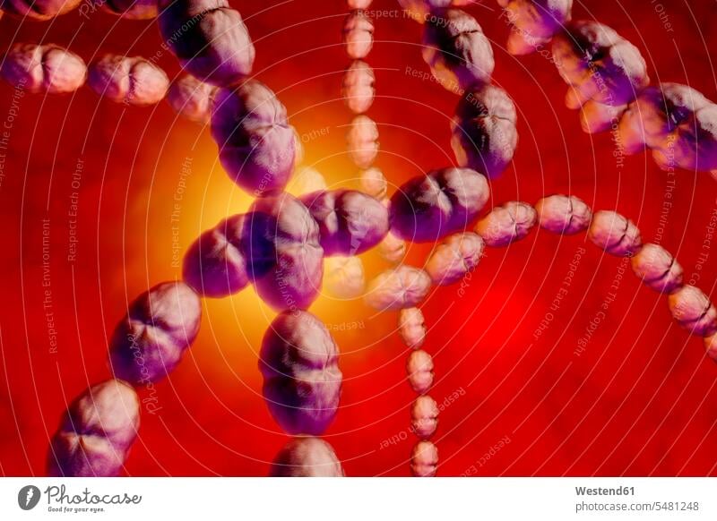 3D rendered Illustration of a anatomically correct convergence to Streptococcus Bacteria infection infected symbolical picture Symbolism close-up close up