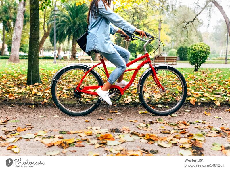 Young woman riding a bike in a park bicycle bikes bicycles driving drive parks females women Adults grown-ups grownups adult people persons human being humans