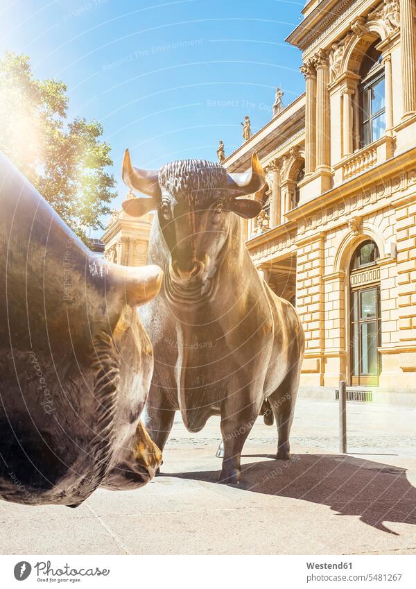 Germany, Frankfurt, bull and bear bronze sculptures at Stock Exchange nobody business business world business life stock market stocks and shares