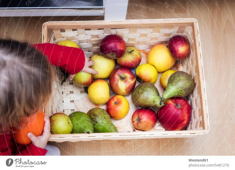 Little girl taking apple, top view take baby girls female Fruit Fruits babies infants people persons human being humans human beings Food foods food and drink