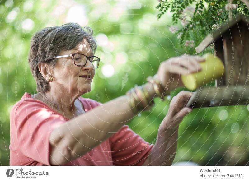 Elderly lady putting birdseed in birdfeeder caucasian caucasian ethnicity caucasian appearance european Selective focus Differential Focus animal food