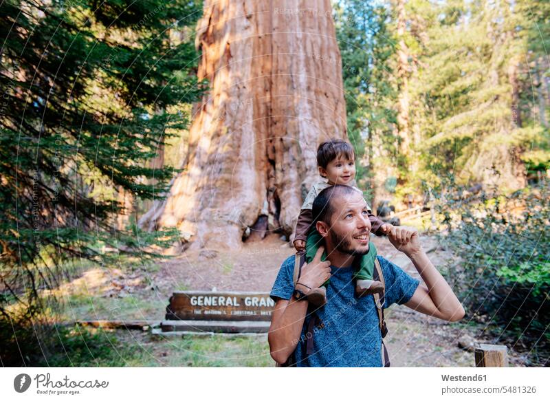 USA, California, Father and baby visiting Sequoia National Park father pa fathers daddy dads papa nature experience together vacation Holidays daughter