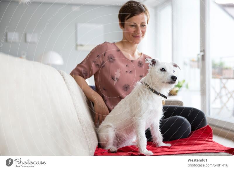 Woman and her dog sitting together on the couch dogs Canine settee sofa sofas couches settees pets animal creatures animals looking eyeing Seated woman females