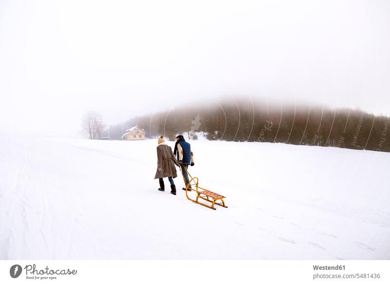 Back view of senior couple with sledge walking side by side in snow-covered landscape sledges twosomes partnership couples weather people persons human being