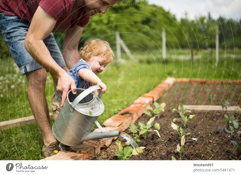Father with his little son in the garden watering seedlings sons manchild manchildren father pa fathers daddy dads papa watering can watering cans gardening