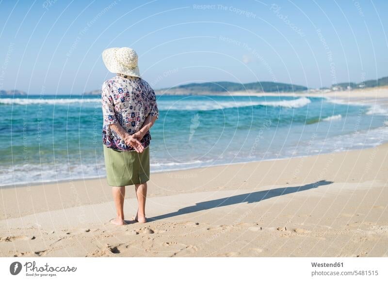 Back view of senior woman standing on the beach senior women elder women elder woman old senior adults females Adults grown-ups grownups people persons