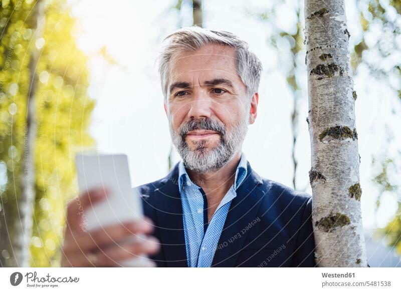 Portrait of businessman at tree checking cell phone portrait portraits beard mobile phone mobiles mobile phones Cellphone cell phones Tree Trees Businessman