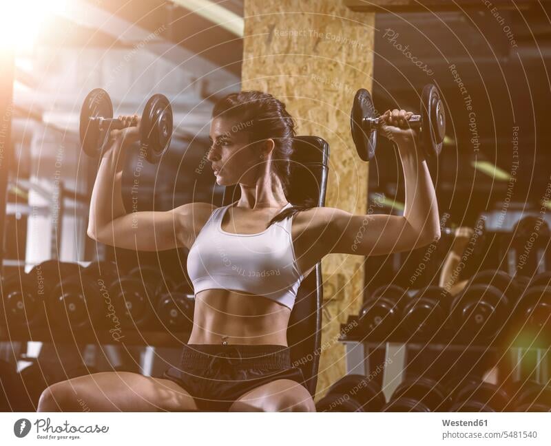 Fitness, woman in gym athlete sportswoman athletes female athlete sportswomen female athletes strength sports female physical athlete female physical athletes
