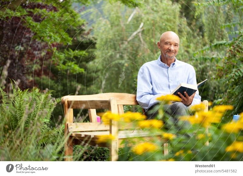 Senior man sitting on garden bench reading book Seated senior men senior man elder man elder men senior citizen gardens domestic garden books benches