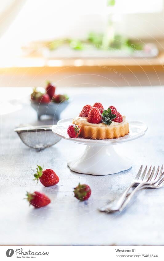 Tartlet with pudding filling and strawberries copy space sweet Sugary sweets garnished ready to eat ready-to-eat Dessert Afters Desserts stuffing Cake Stand