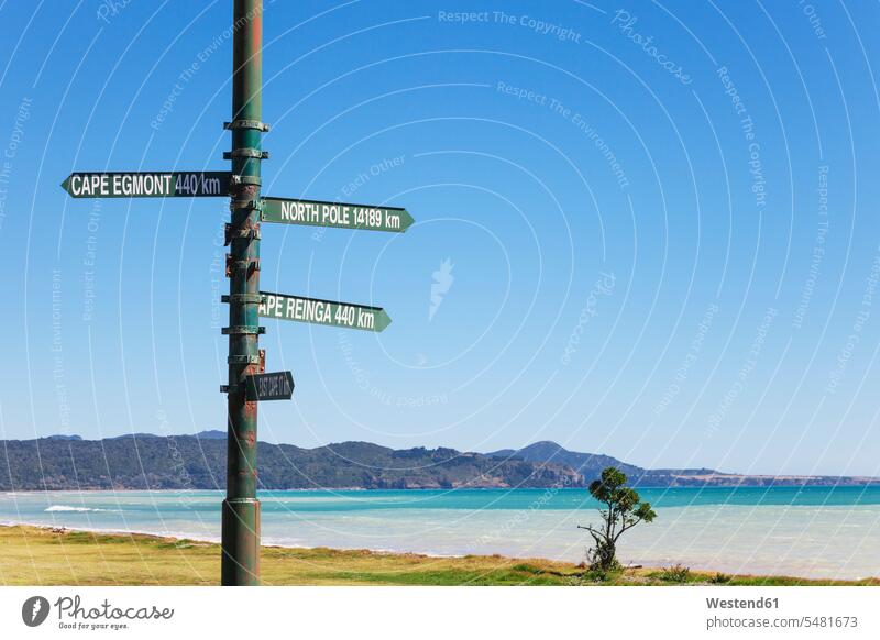 New Zealand, North Island, East Cape, Signpost in Te Araroa, South Pacific Ocean Travel destination Destination Travel destinations Destinations Direction