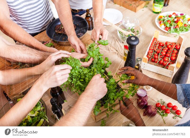Friends in kitchen plucking leaves from herbs arm arms friends mate kitchen counter countertops kitchen counters Kitchen Worktop teamwork teamworking