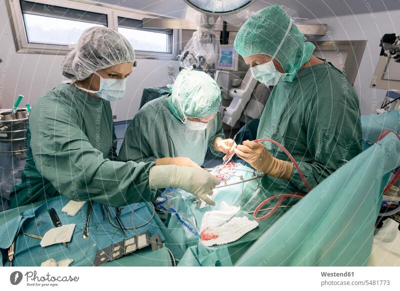 Neurosurgeons opening the cranium during an operation surgery surgeries operating doctor physicians doctors treatment Medical Treatment treatments