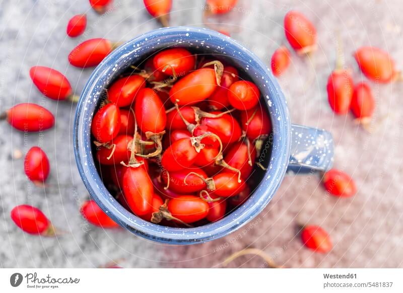 Cup of goji berries food and drink Nutrition Alimentation Food and Drinks Lycium barbarum large group of objects many objects close-up close up closeups