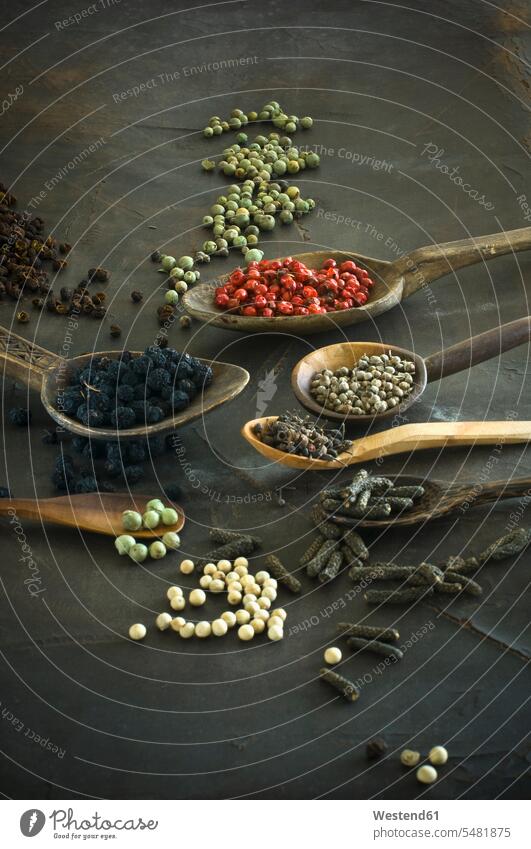 Various sorts of pepper on spoons Xylopia aethiopica Szechuan Pepper Sichuan pepper Long pepper Indian long pepper Pippali Piper Longum dark background