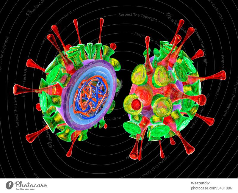 Influenza virus, 3D Rendering shape shapes healthcare health-care research half halves halved black background black backgrounds spherical shape