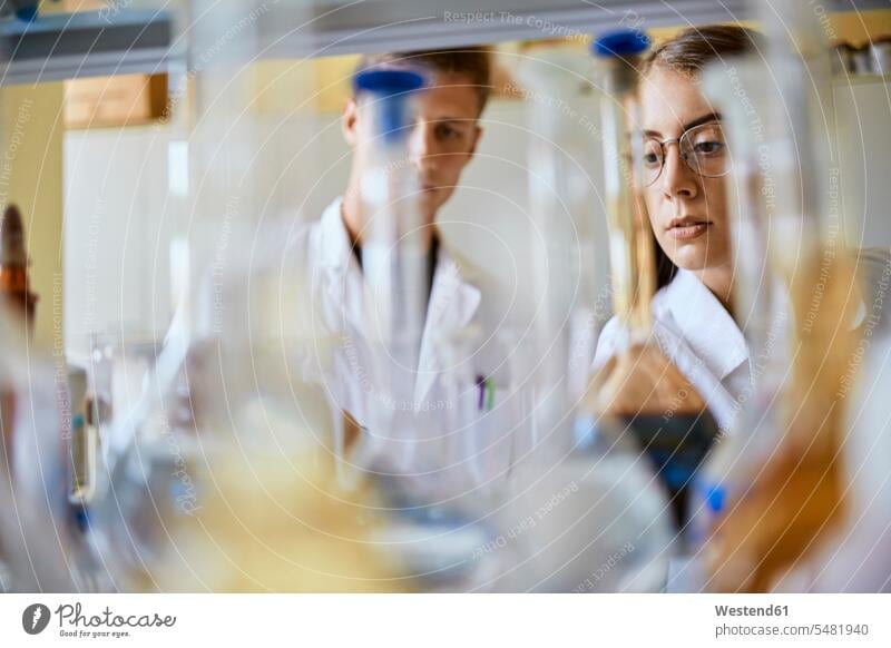 Young man and woman working together in laboratory females women At Work Adults grown-ups grownups adult people persons human being humans human beings
