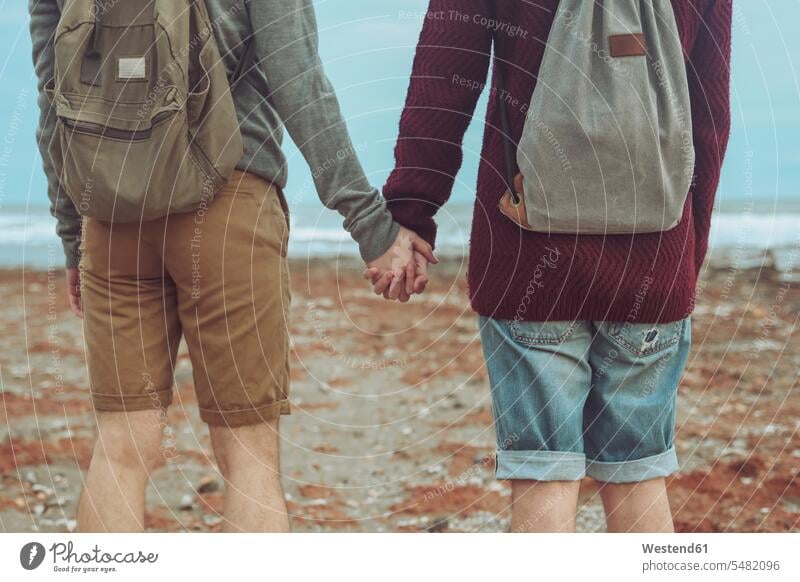 Back view of young gay couple holding hands on the beach twosomes partnership couples beaches people persons human being humans human beings homosexual queer
