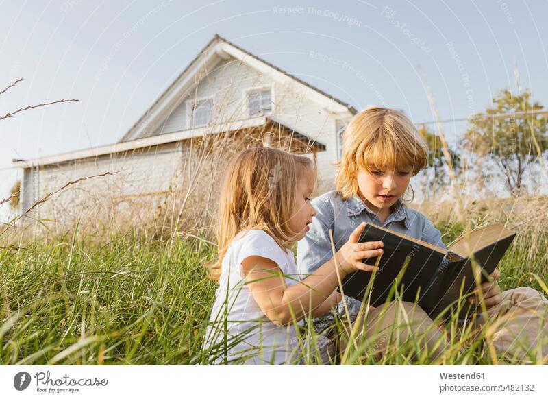 Brother and his little sister sitting on a meadow reading a book books Seated meadows sisters brother brothers siblings brother and sister brothers and sisters