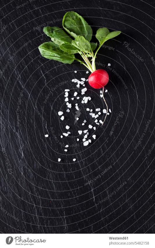 Red radish with salt red healthy eating nutrition elevated view High Angle View High Angle Shot copy space schist slates studio shot studio shots
